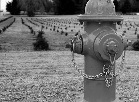 小黑ddos压力测试平台